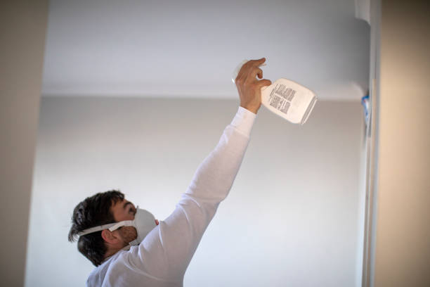 Best Emergency Mold Removal  in Indian Lake, TX
