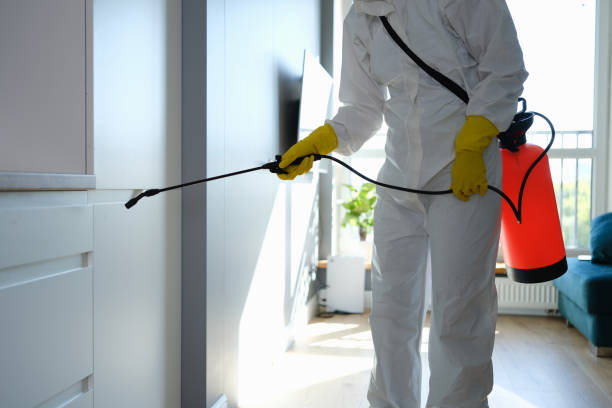 Best Residential Mold Removal  in Indian Lake, TX