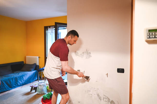 Professional Mold Removal in Indian Lake, TX