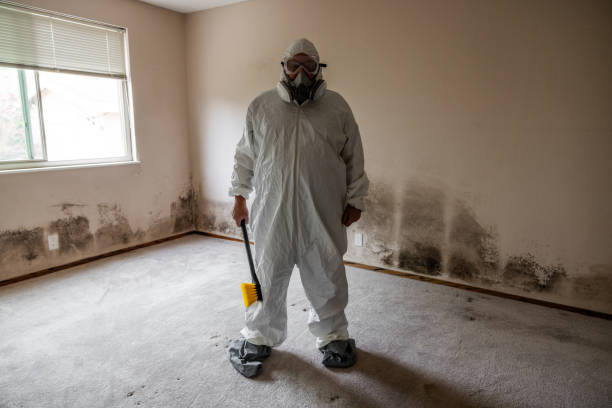 Office Mold Removal Services in Indian Lake, TX